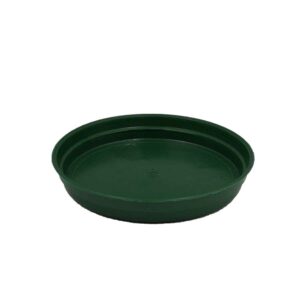 Empire - PC Saucer - 15cm - Green